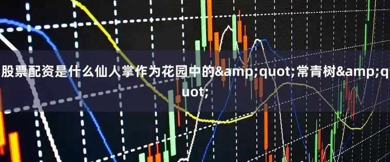 股票配资是什么仙人掌作为花园中的&quot;常青树&quot;
