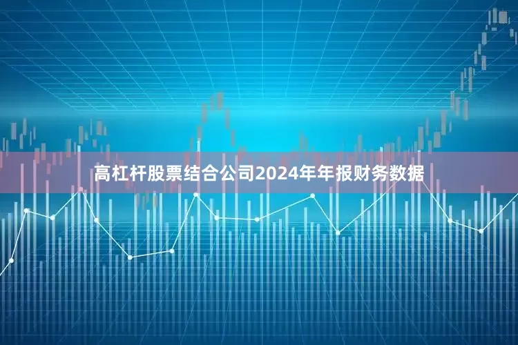高杠杆股票结合公司2024年年报财务数据