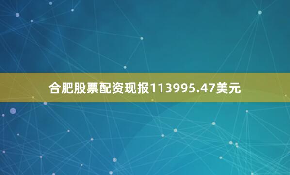 合肥股票配资现报113995.47美元