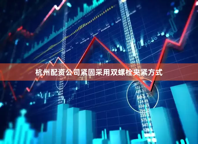杭州配资公司紧固采用双螺栓夹紧方式